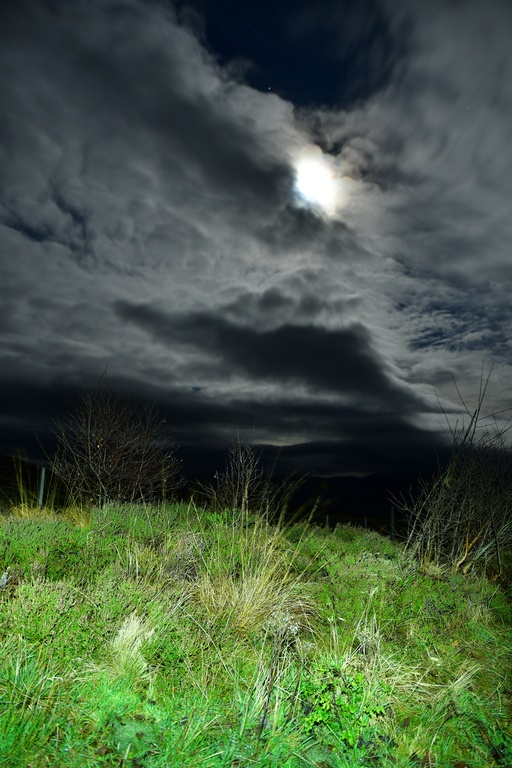 2018-11 Scotland/Ben Lawers/DSC_7729.JPG